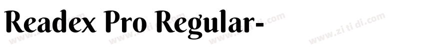 Readex Pro Regular字体转换